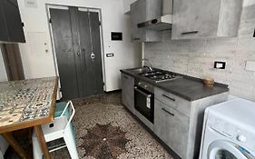 Grey House